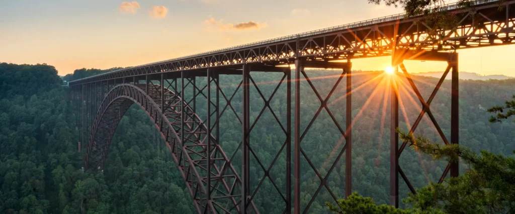 View of the bridge in the middle of the forest